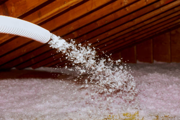 Best Commercial Insulation in Country Walk, FL