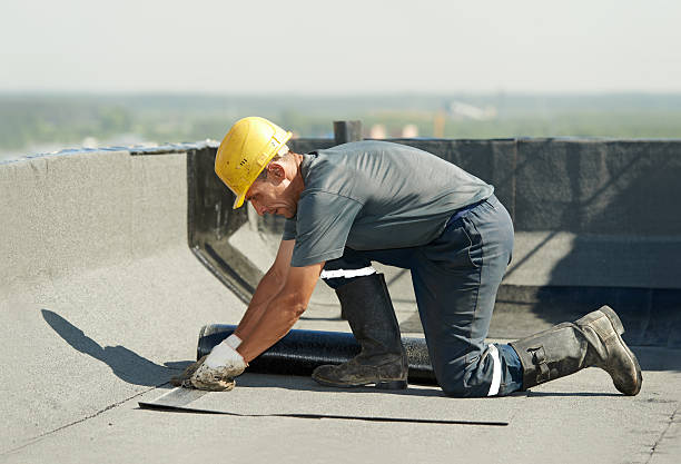 Best Insulation Installation Services in Country Walk, FL